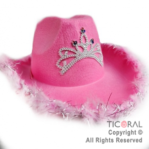 SOMBRERO COWBOY CORONA DECO PLATA Y PLUMAS ROSA x 1